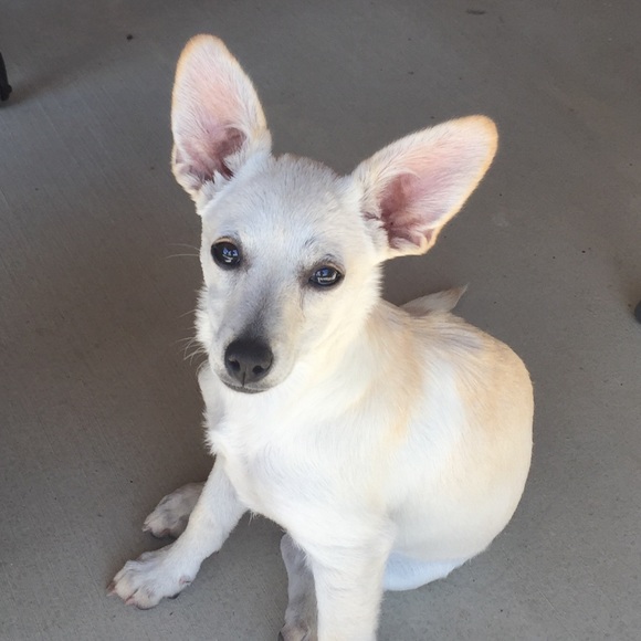 Meet your Posher, Katy - Picture 1 of 1